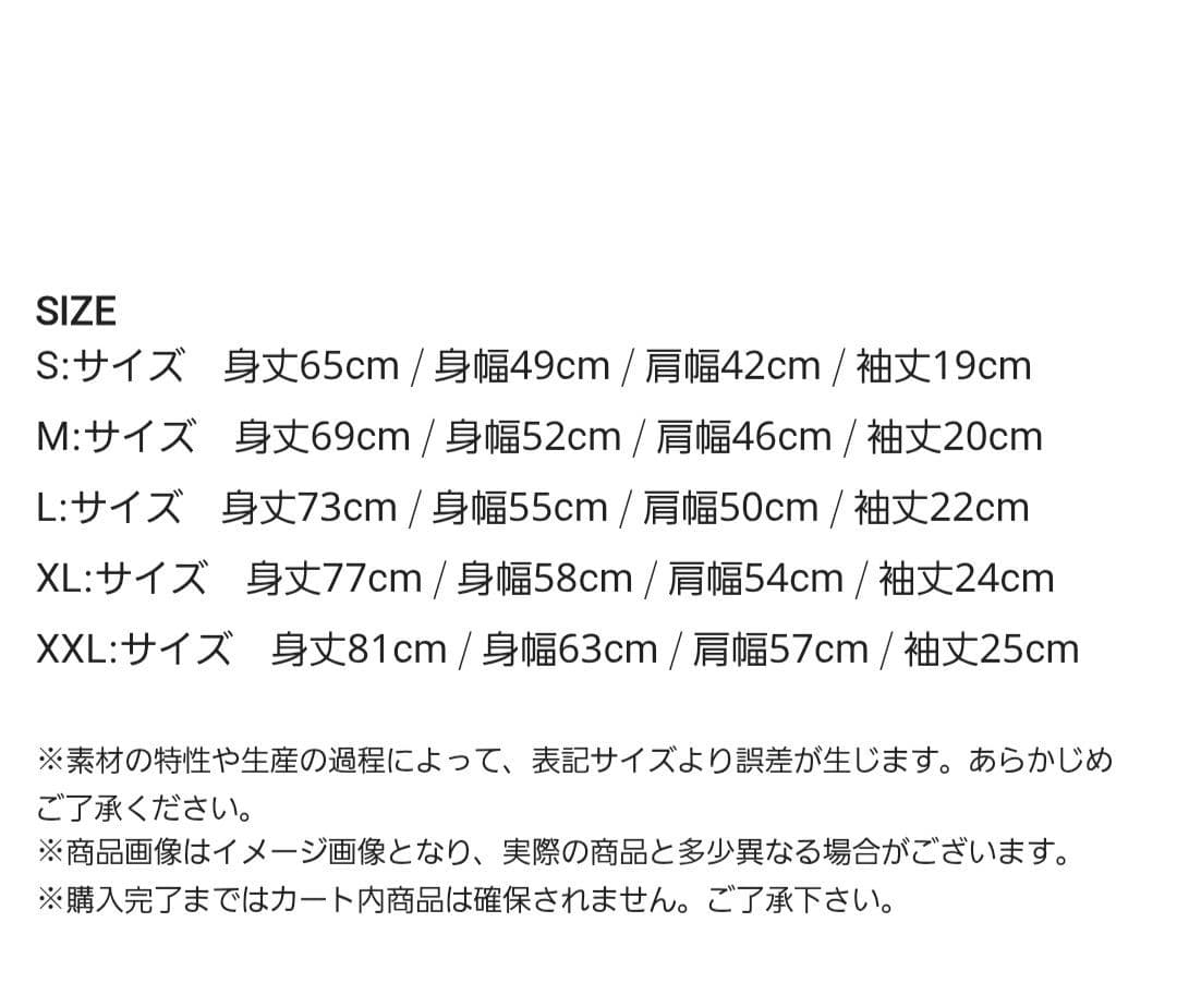 Hi-STANDARD FATコラボTシャツ XXL バンドT