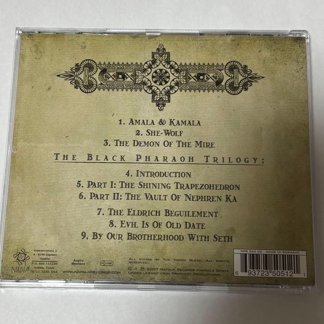【ボクくん様用】THE VISION BLEAK / The Wolves Go