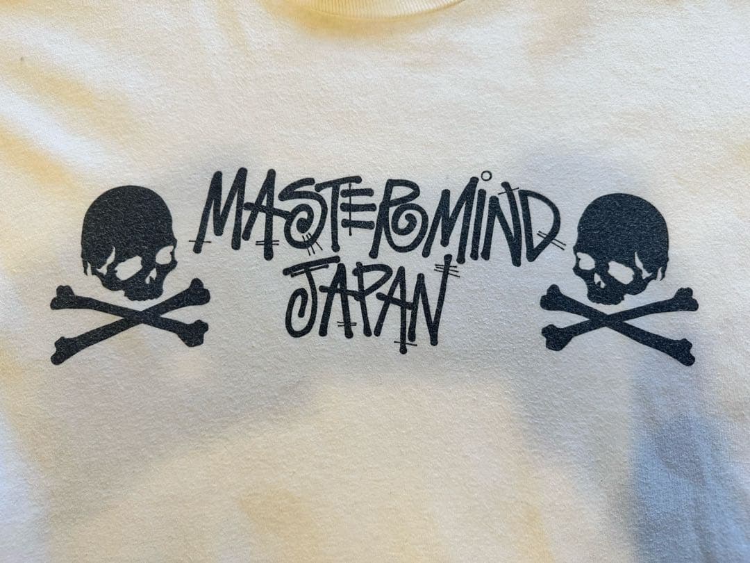 Stussy×mastermind スカルT L