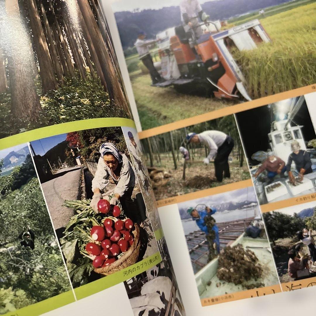 福井県大百科事典　福井新聞社刊