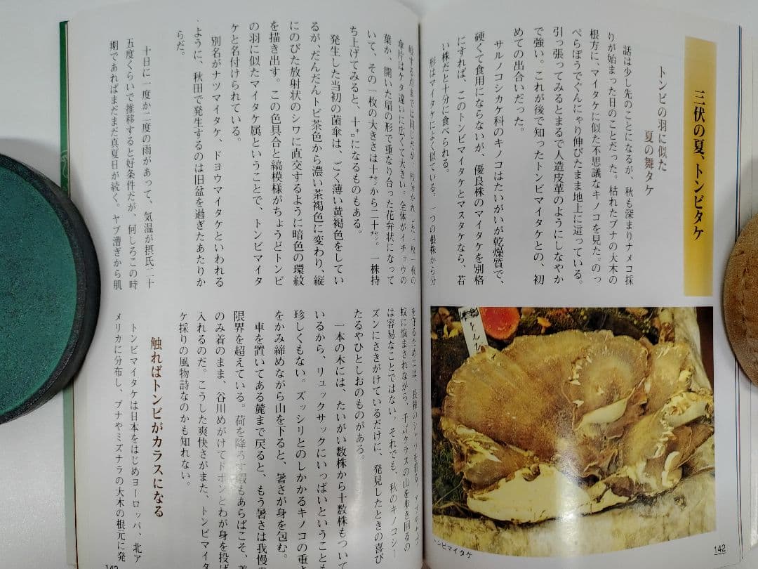 『あきた 山菜 キノコの四季』秋田 山菜採り キノコ狩り 実録 手引書 図鑑