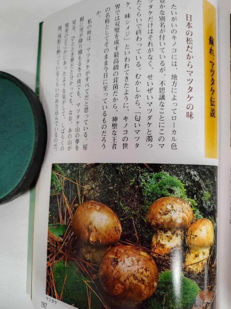 『あきた 山菜 キノコの四季』秋田 山菜採り キノコ狩り 実録 手引書 図鑑