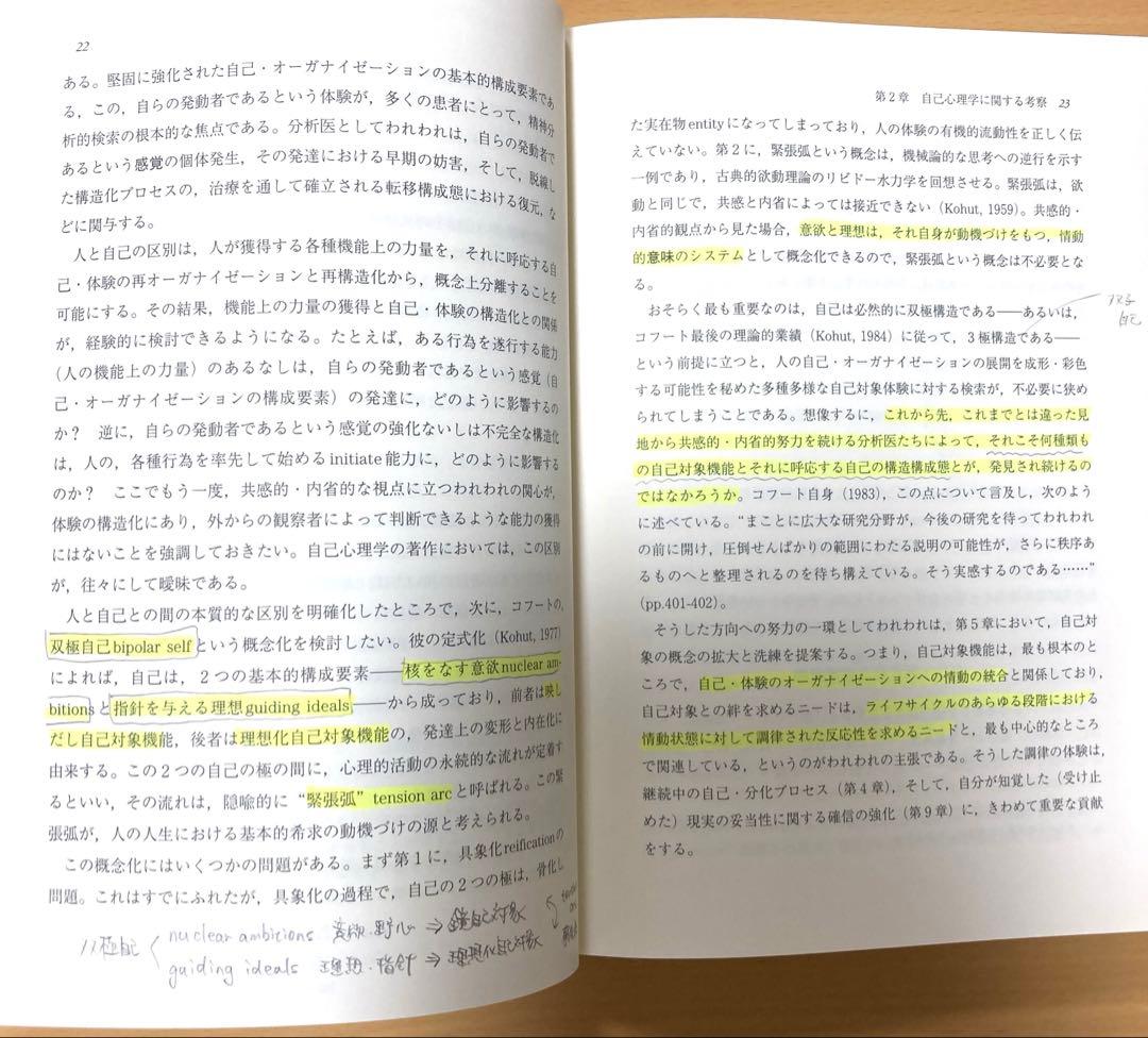 間主観的アプローチ　コフートの自己心理学を超えて