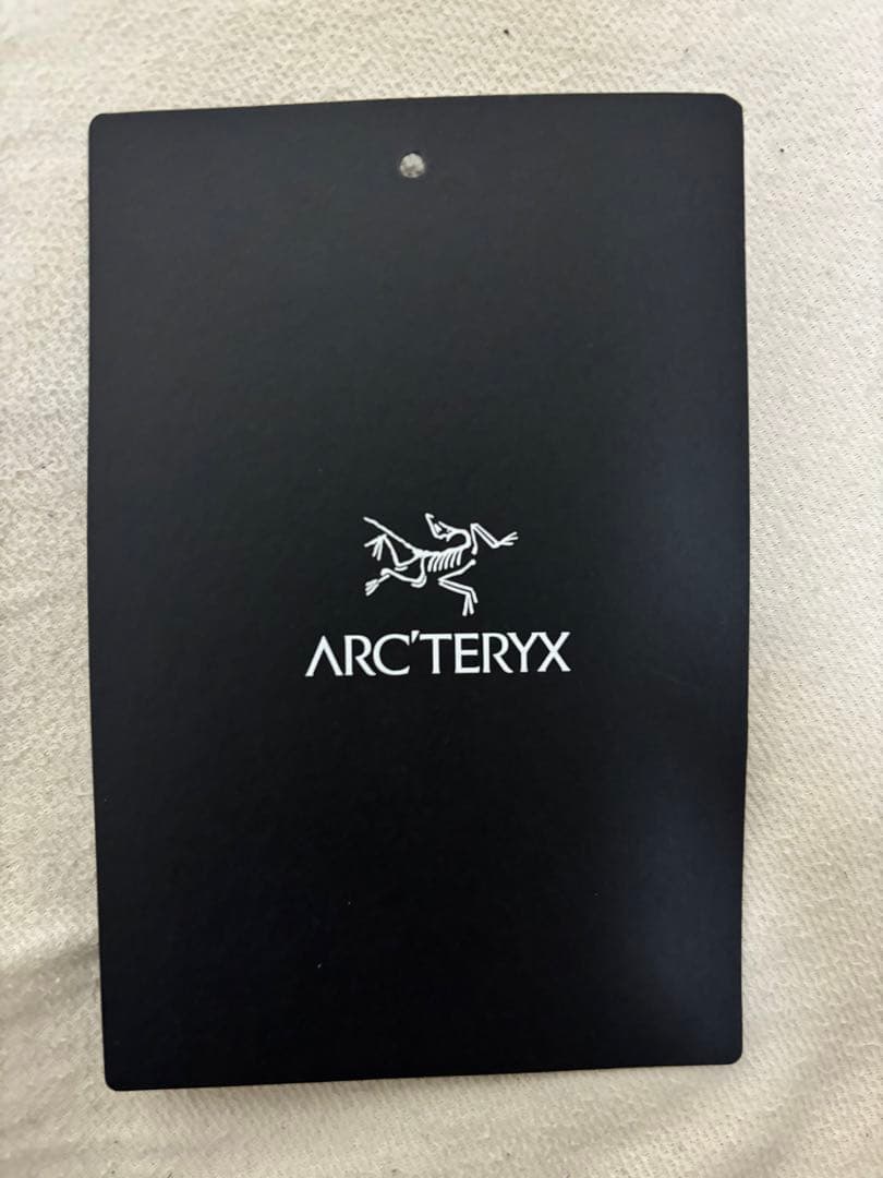 アークテリクス　アトム SV フーディ メンズ　Mサイズ　美品