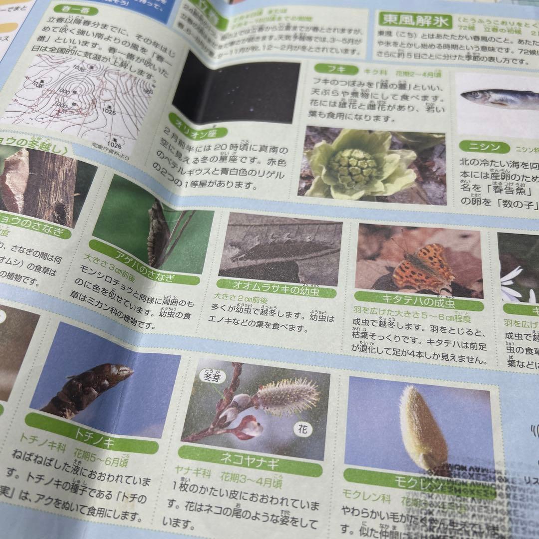 ㉒な　サピックス　SAPIX 4年　理科　季節の図鑑　一年分フルセット