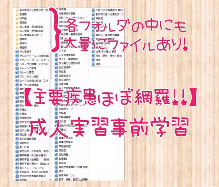 看護実習 看護学生 国家試験 レポート 関連図 アセスメント 実習対策 国家試験
