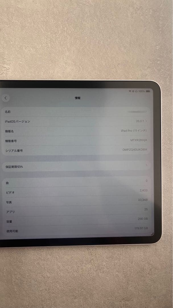iPad Pro 11インチ (第1世代) Wi-Fi 256GB シルバー