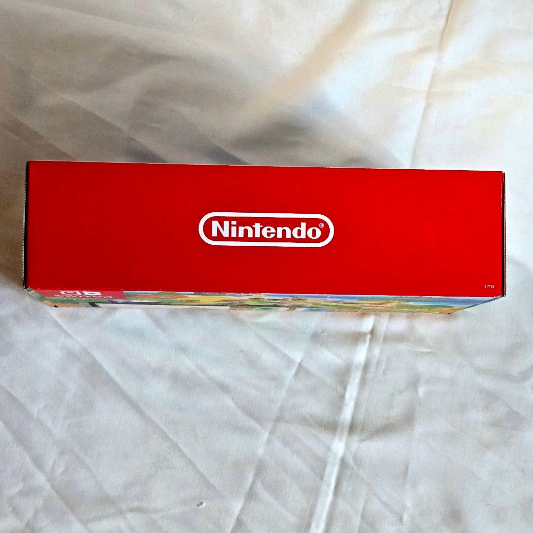 Nintendo Switch　あつまれどうぶつの森セット