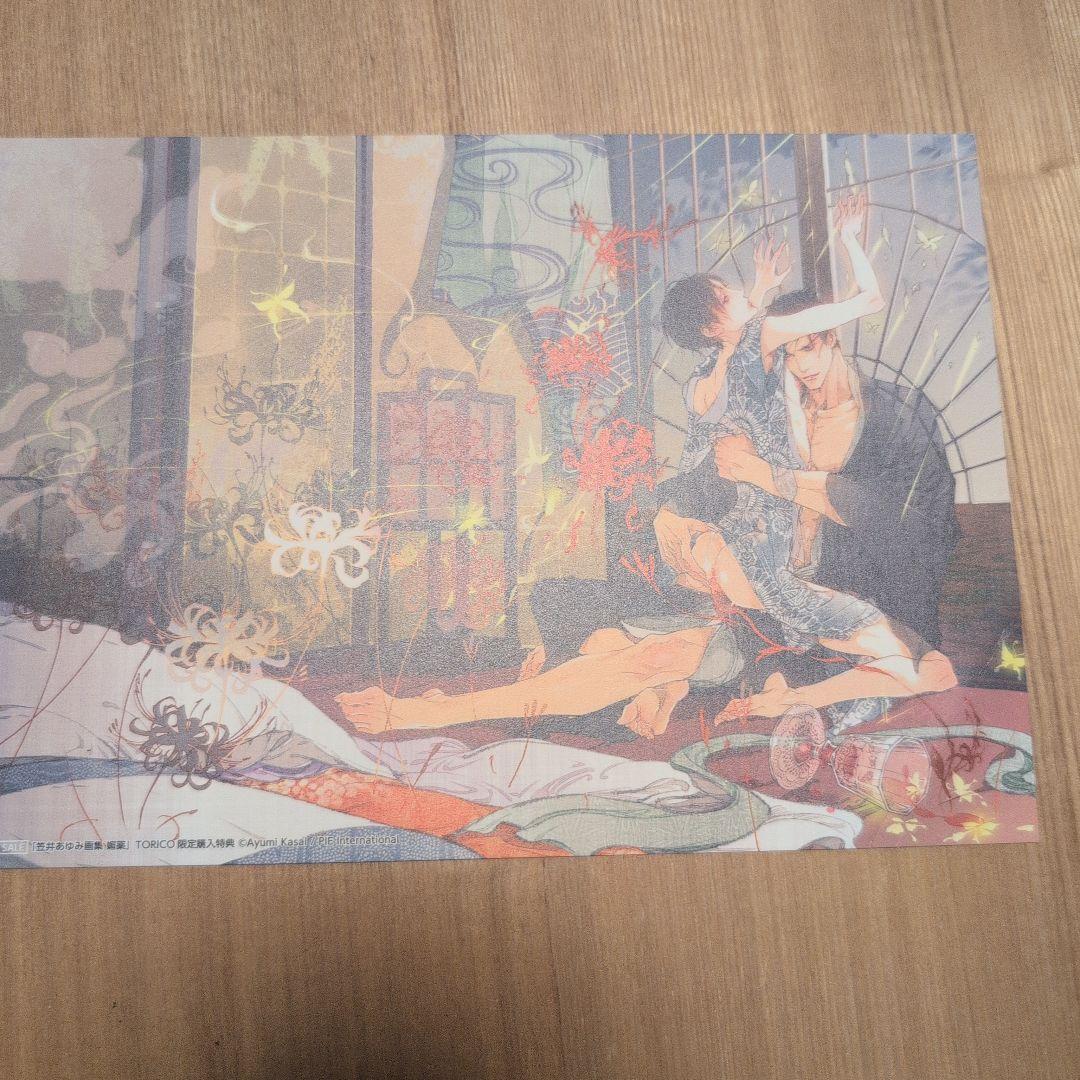 特典付き☆笠井あゆみ画集 媚薬