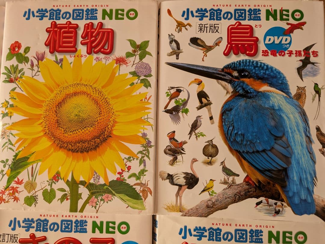 図鑑 12巻セット