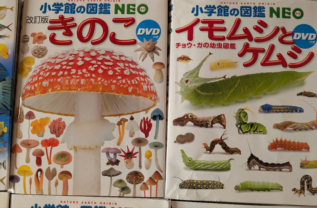 図鑑 12巻セット