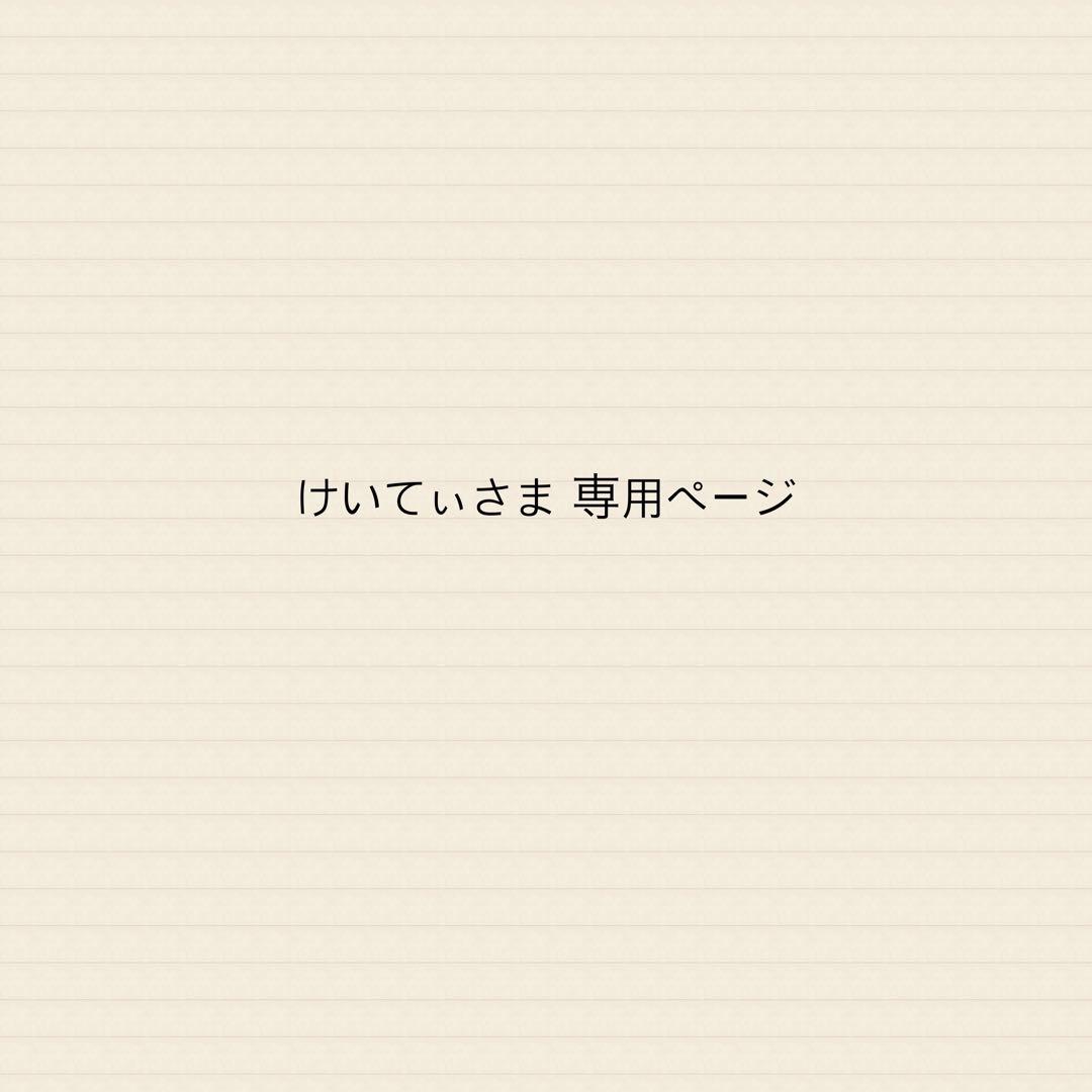 けいてぃさま 専用ページ