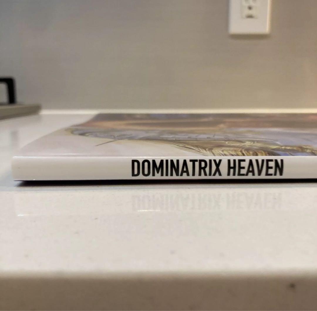 DOMINATRIX HEAVEN 空山基 寺田克也 初版　サインなし
