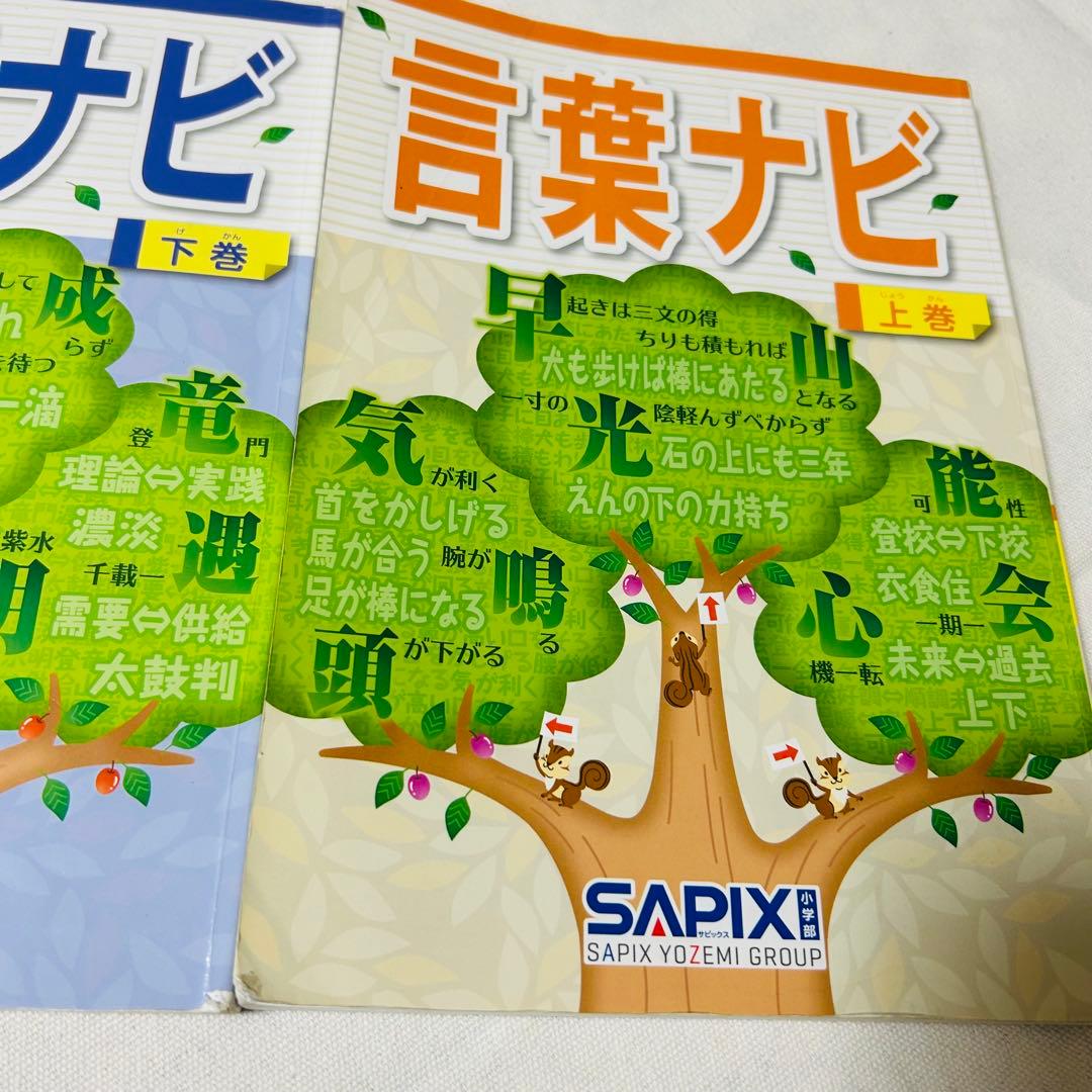 19-21 未記入　SAPIX サピックス　言葉ナビ　上巻　下巻　重要教材
