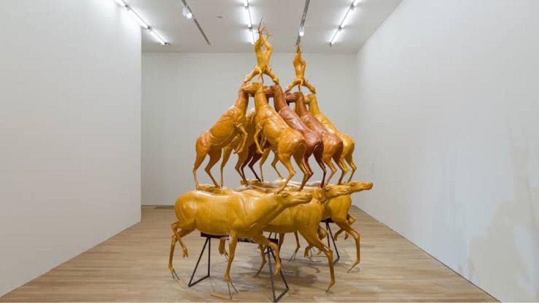 アートブック ブルースナウマン Bruce Nauman LIVE OR DIE