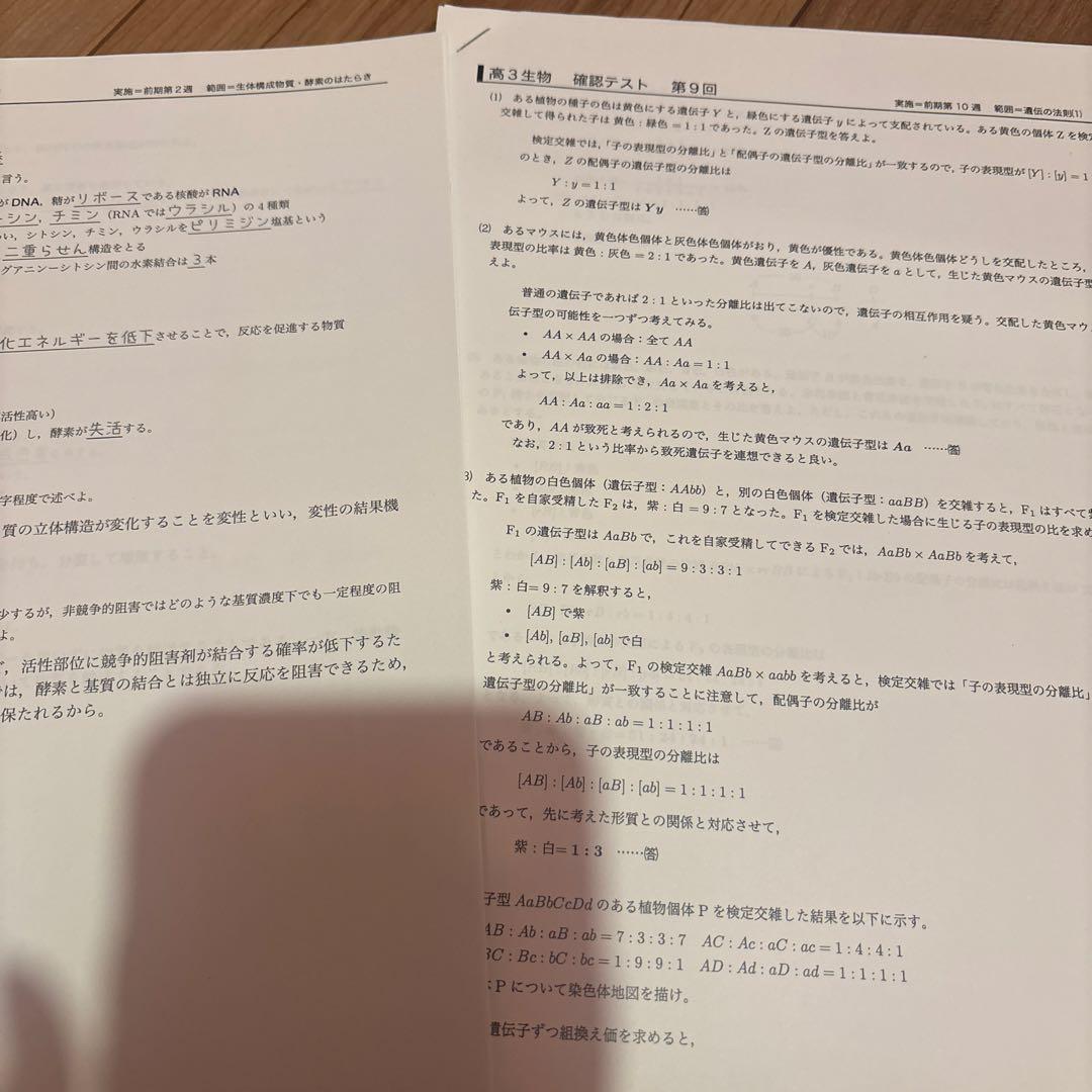 鉄緑会高3生物　生物学問題集セット(生物プリント)