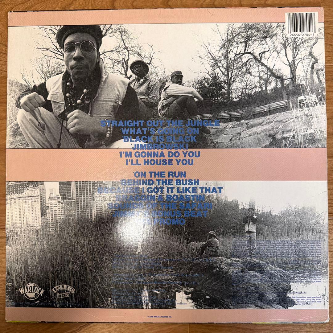 jungle brothers 2枚セット　レコード