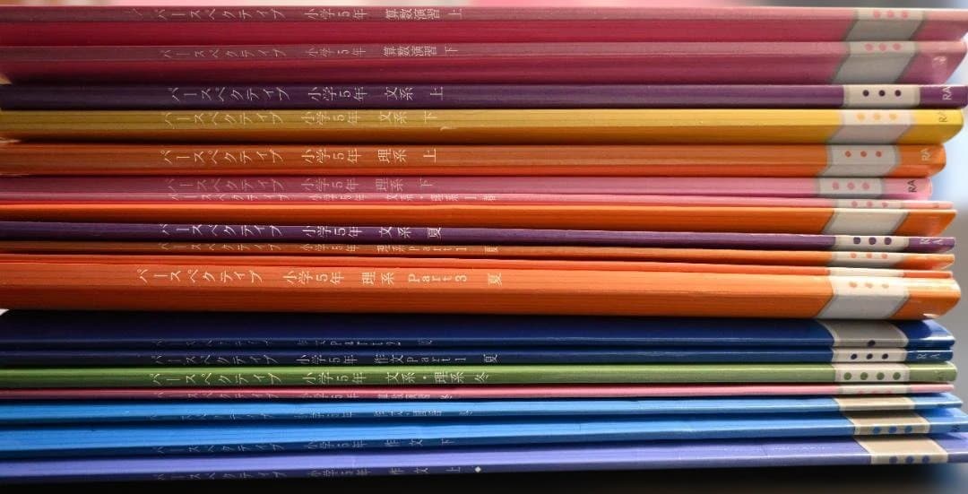 ena パースペクティブ 小5 文系/理系/算数演習/作文+春夏冬 計19冊