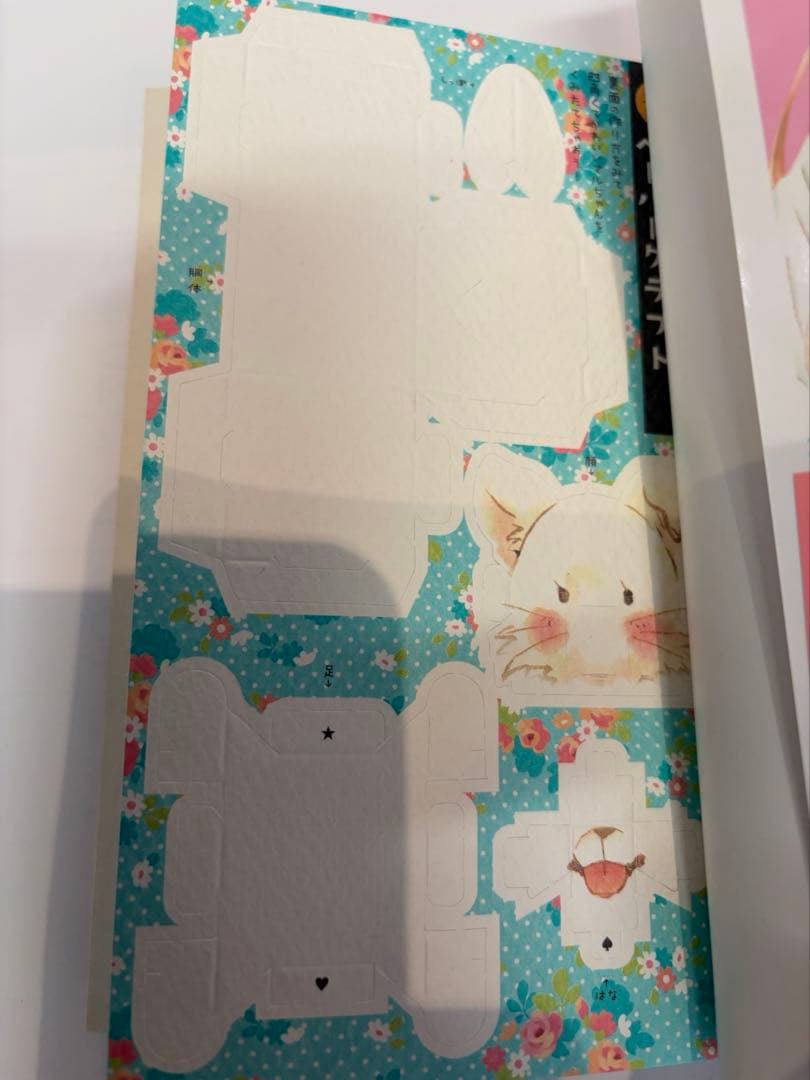 君に届け 完結記念特装版込み全30巻＋ 小説＋ fanbook 初版特典付き