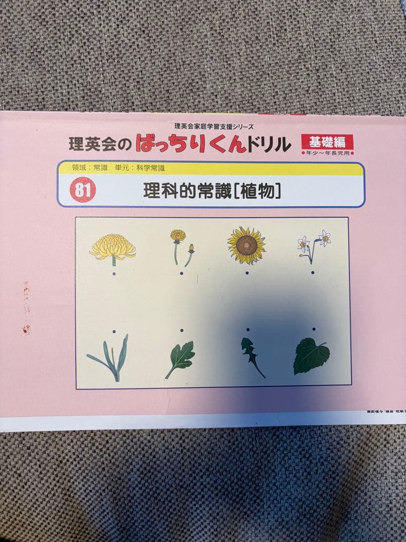 理英会 ばっちりくんドリル（基礎編・応用編） 裁断済み　※バラ売り可