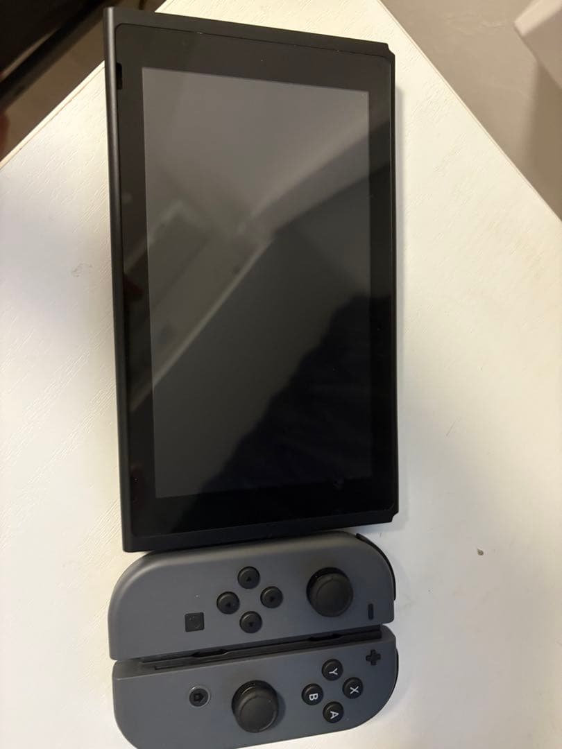 Nintendo Switch グレー 本体付属品ありプロコン付きちあき。