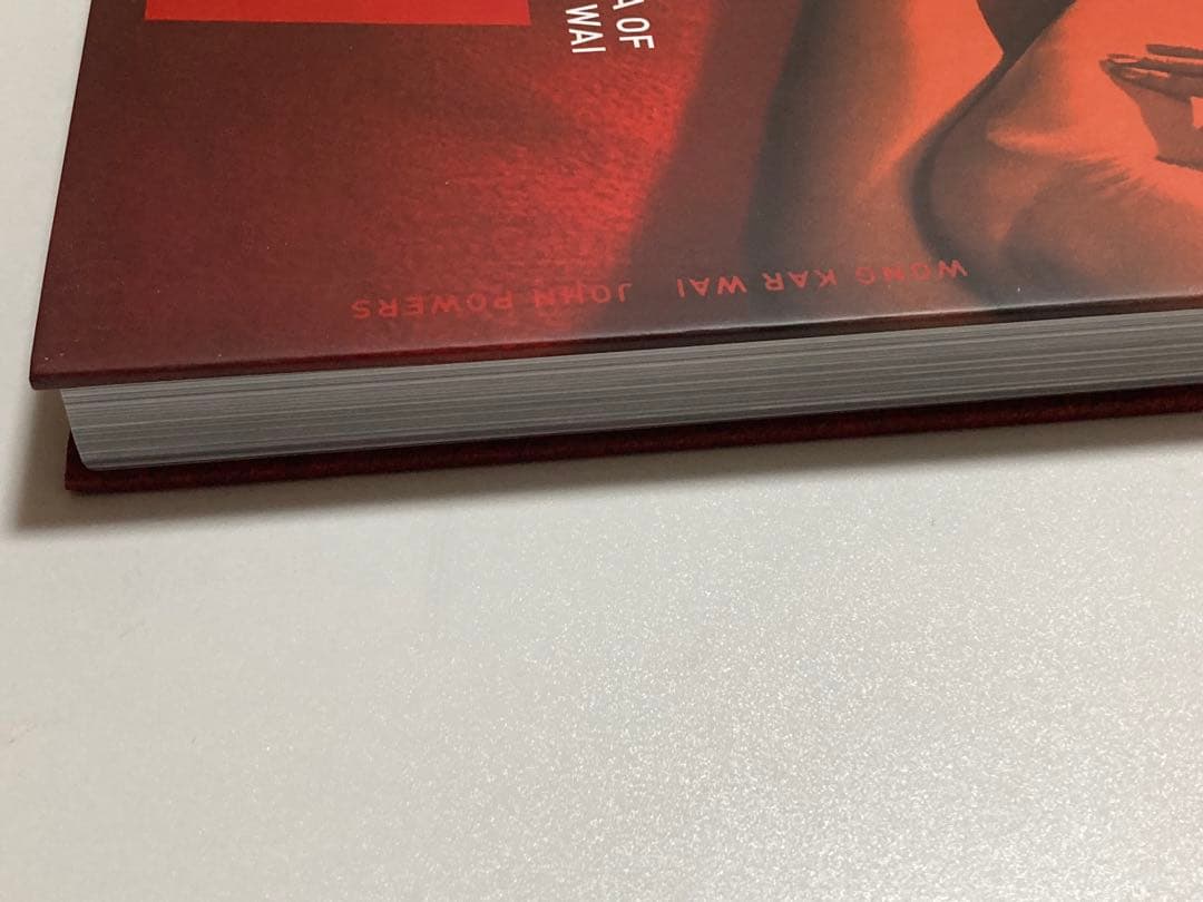 THE CINEMA OF WONG KAR WAI ウォン・カーウァイ 写真集