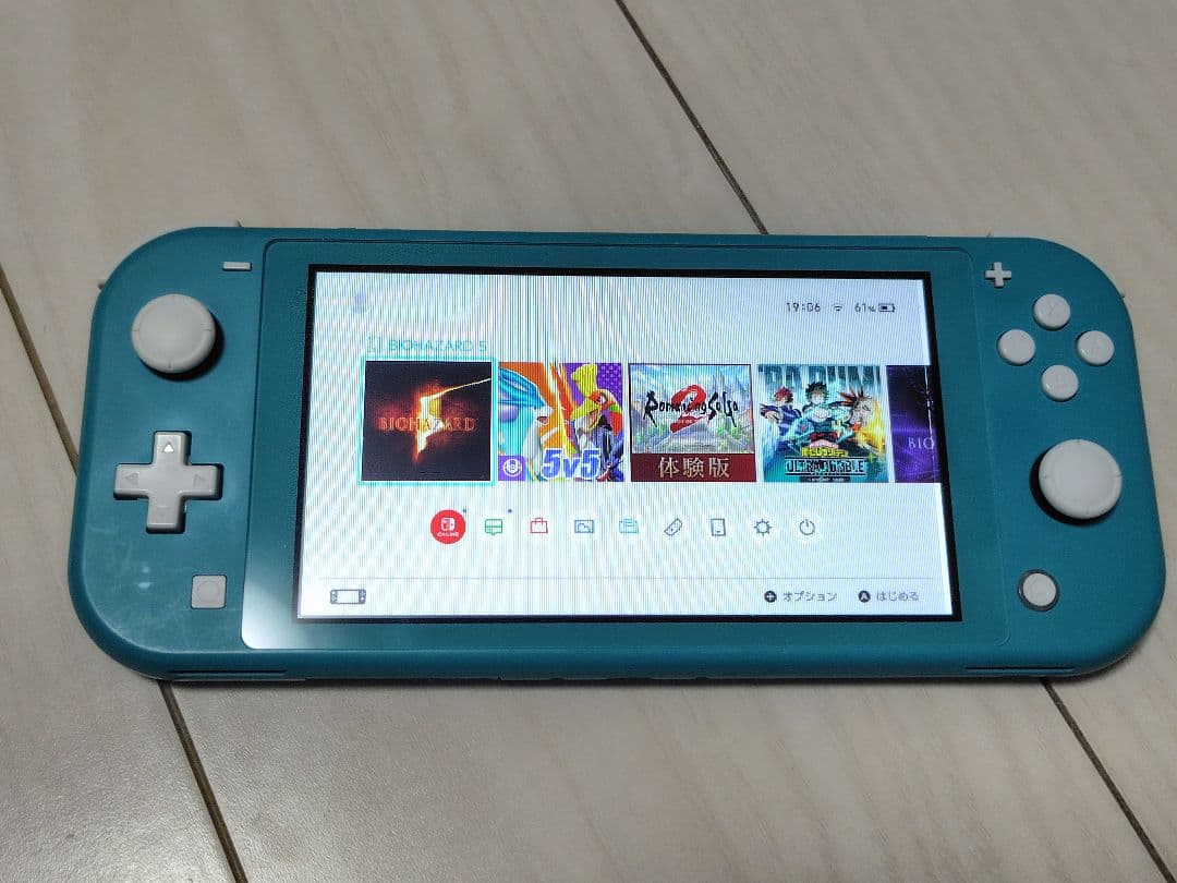 Nintendo Switch Lite 本体 【ジャンク/液晶パネル縦横線有】