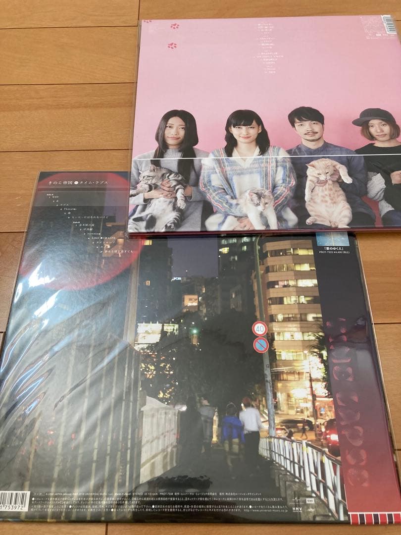 きのこ帝国　タイムラプス　猫とアレルギー　新品未開封レコード　アナログ　佐藤