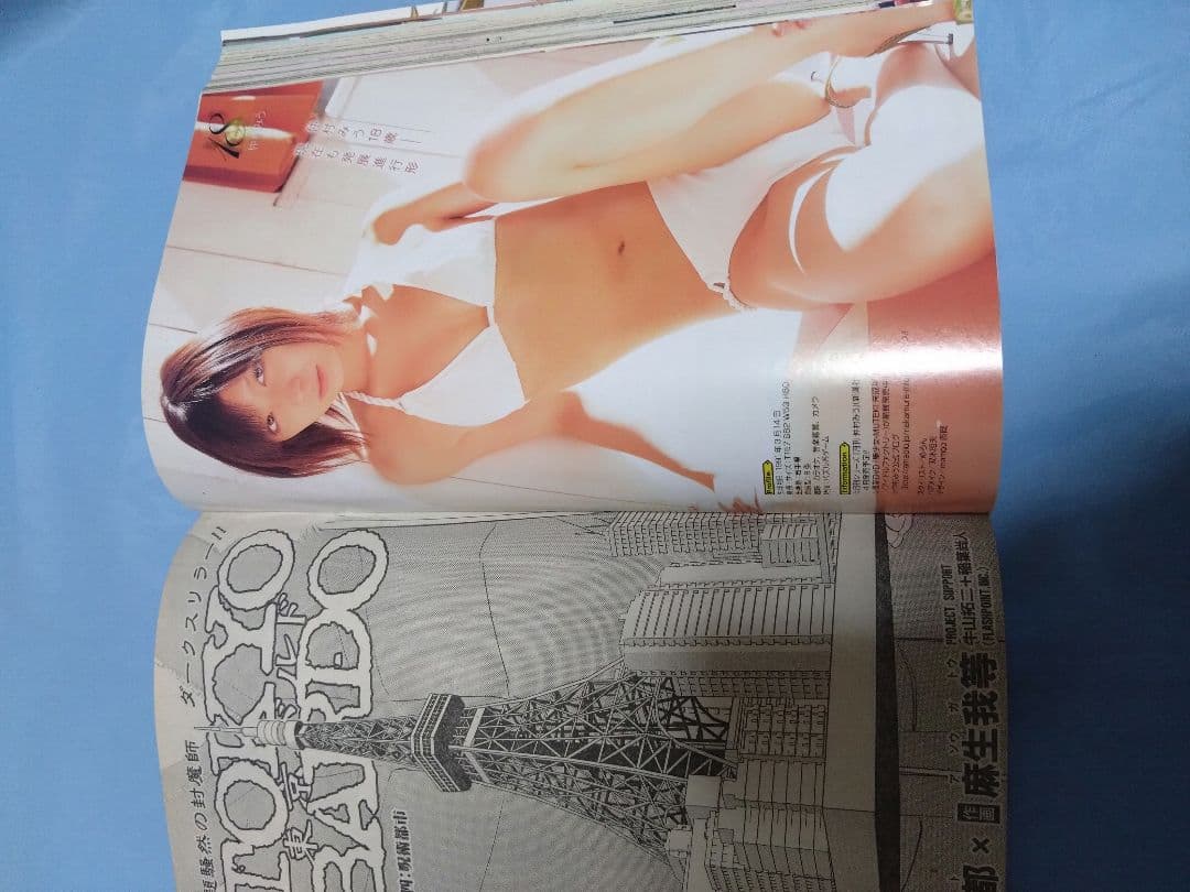 ヤングガンガン 2009年 中島愛里 仲村みう