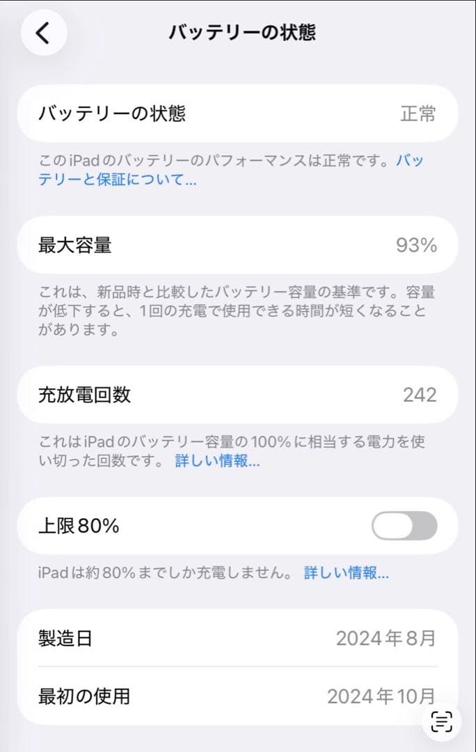 名*照様 ipad mini A17pro 256GB Wi‑Fi + Cell