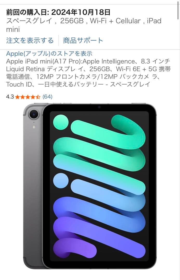 名*照様 ipad mini A17pro 256GB Wi‑Fi + Cell