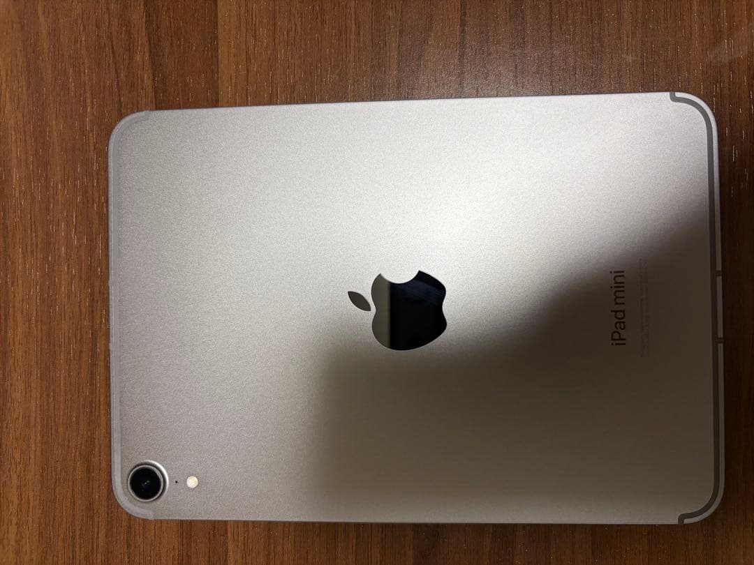 名*照様 ipad mini A17pro 256GB Wi‑Fi + Cell