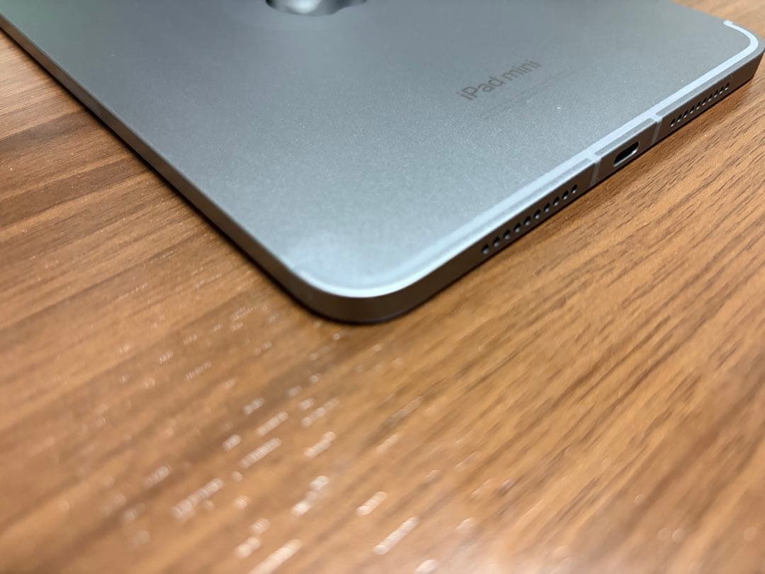 名*照様 ipad mini A17pro 256GB Wi‑Fi + Cell