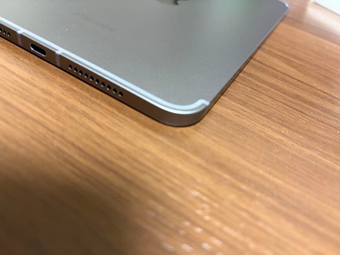名*照様 ipad mini A17pro 256GB Wi‑Fi + Cell