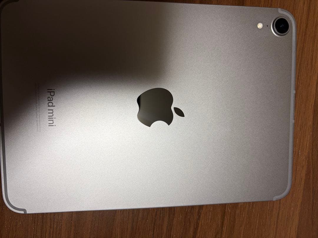名*照様 ipad mini A17pro 256GB Wi‑Fi + Cell