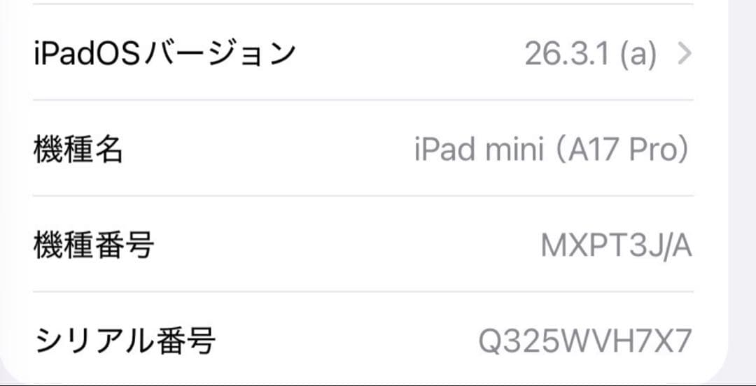 名*照様 ipad mini A17pro 256GB Wi‑Fi + Cell