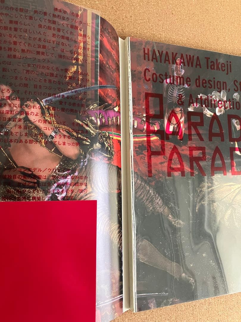 沢田研二 PARADIS 早川タケジ