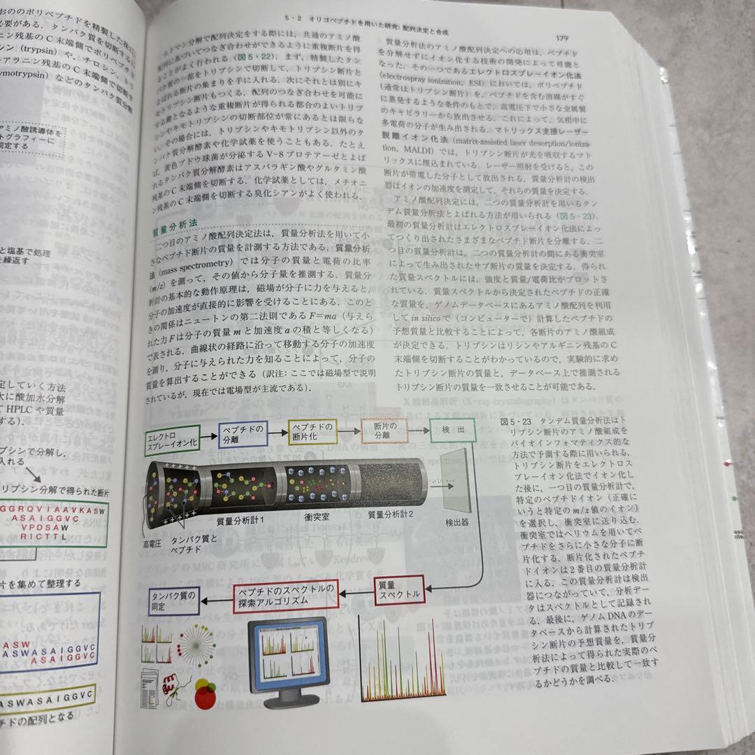 ミースフェルド生化学