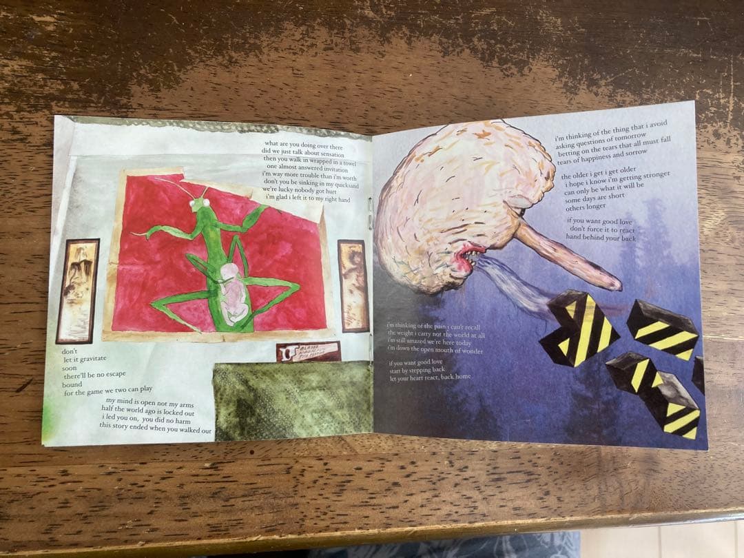 ■USオルタナ名盤■LOU BARLOW / ルーバーロウ ■Goodnight