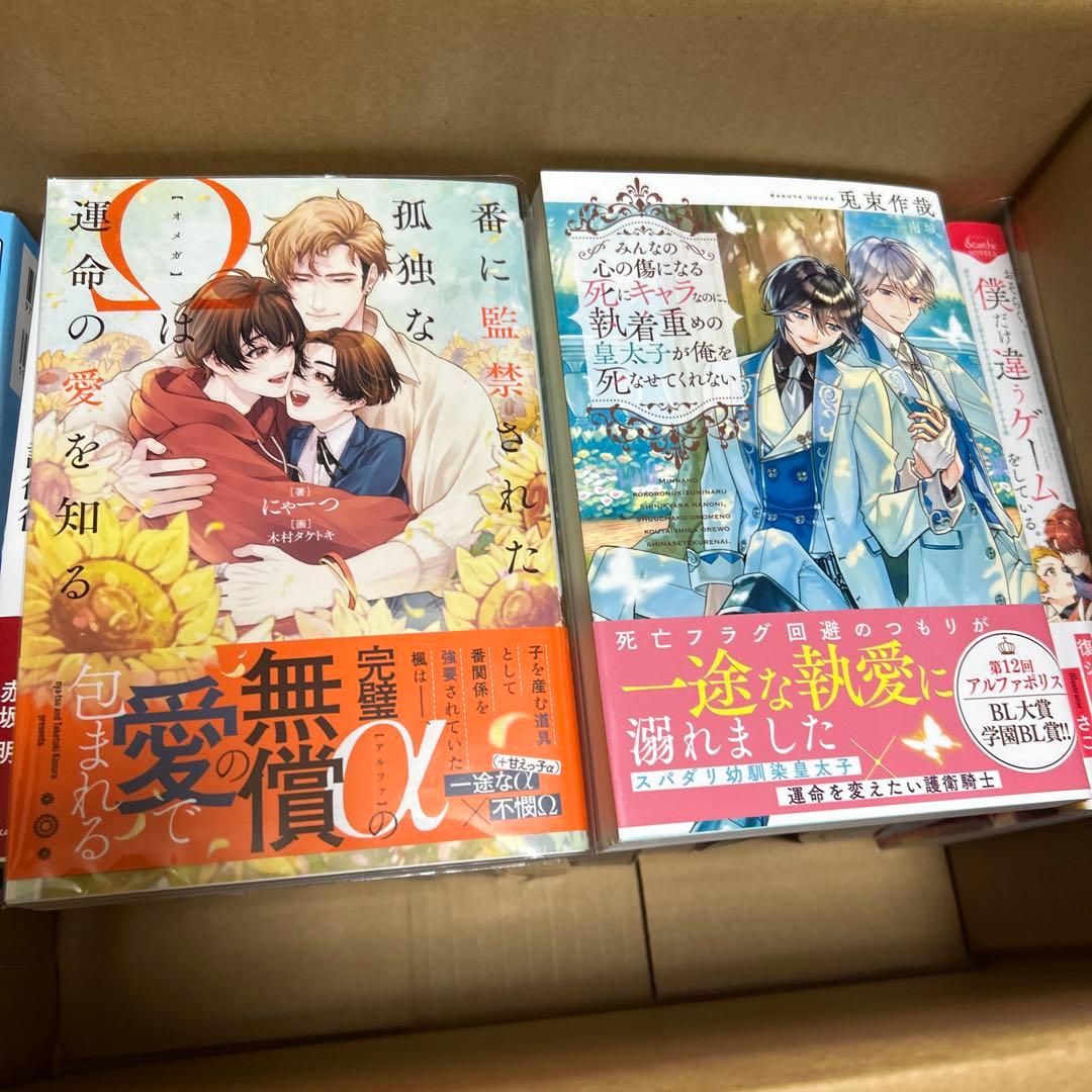 bl小説纏め売り