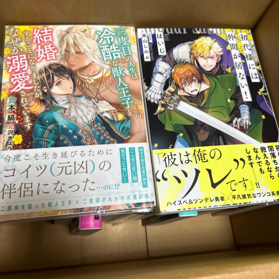 bl小説纏め売り