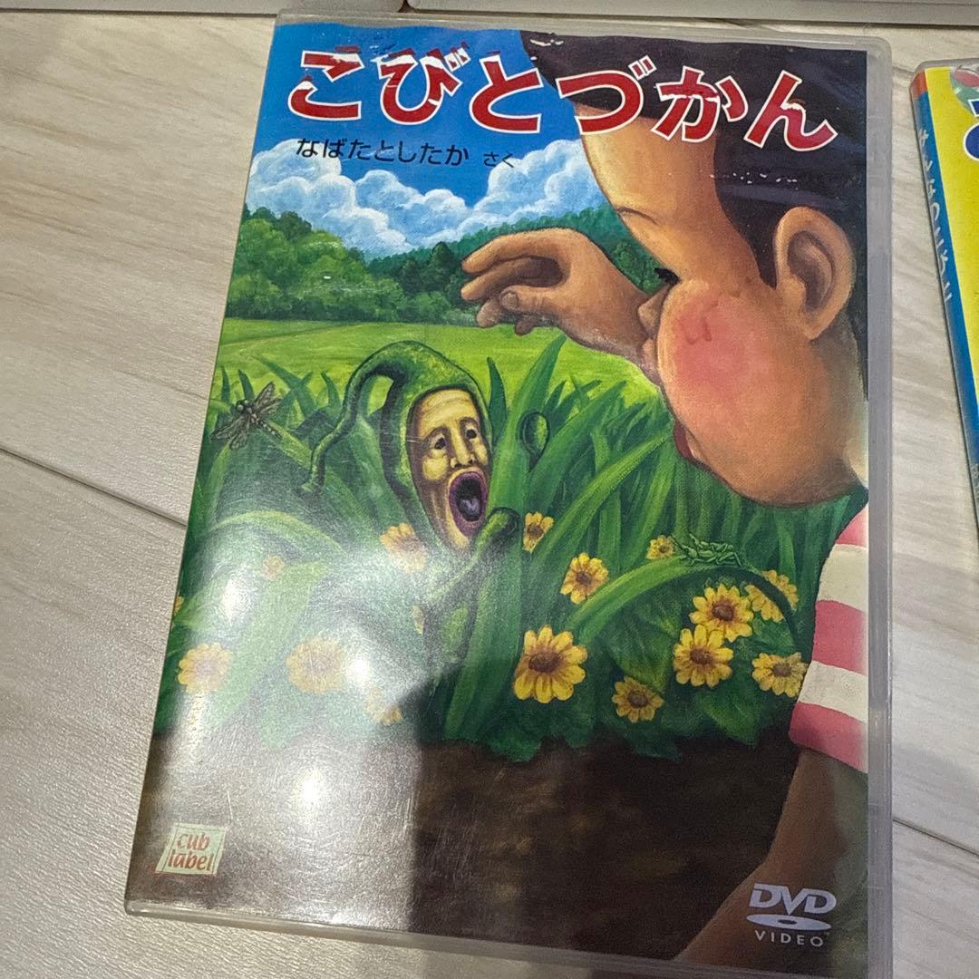 こびととづかん入門 DVDセット
