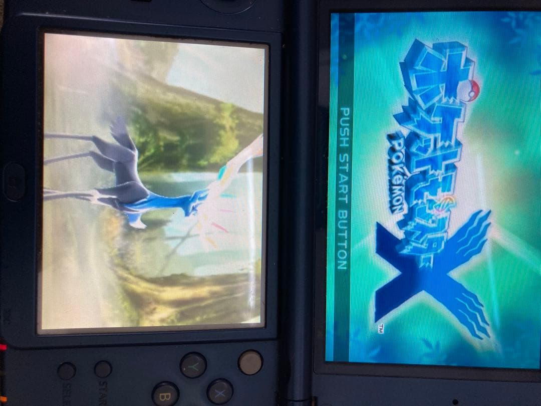 【配布・配信ポケモン多数】ポケットモンスター X・Y 2本セット 3DS