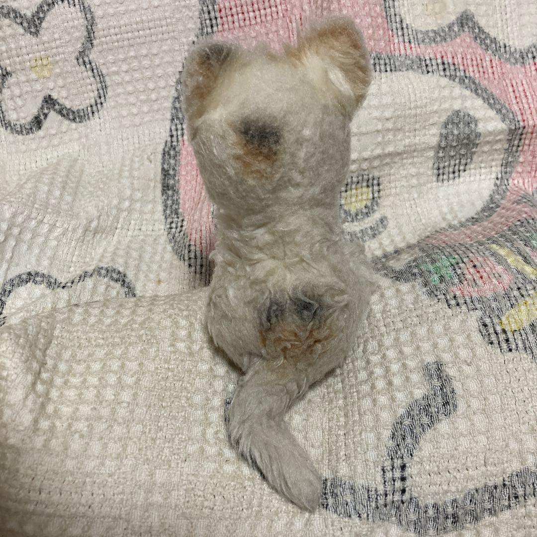 昭和レトロ　ヴィンテージ Meiji 明治　ノベルティ　猫　ぬいぐるみ　中古