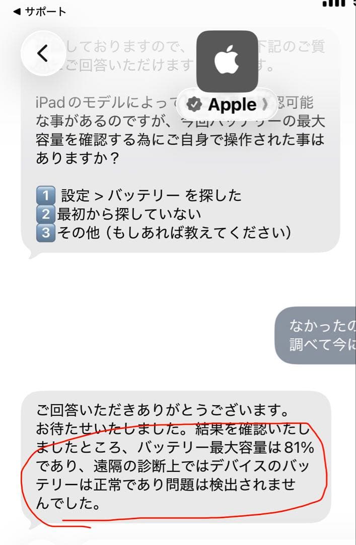 iPad Pro 12.9　第5世代 Wi-Fi+Cellular 512GB