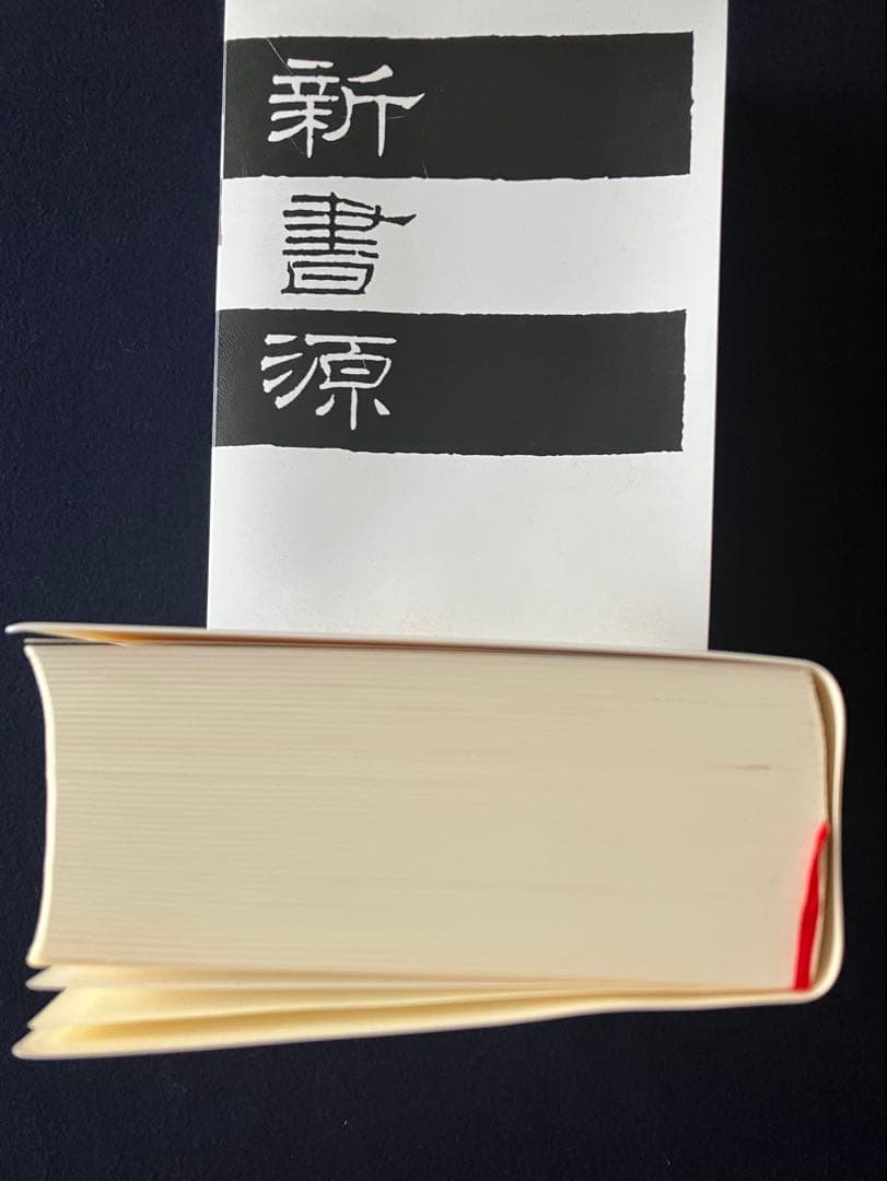 【二玄社】新書源 書道字典 書き込みなし・状態良好