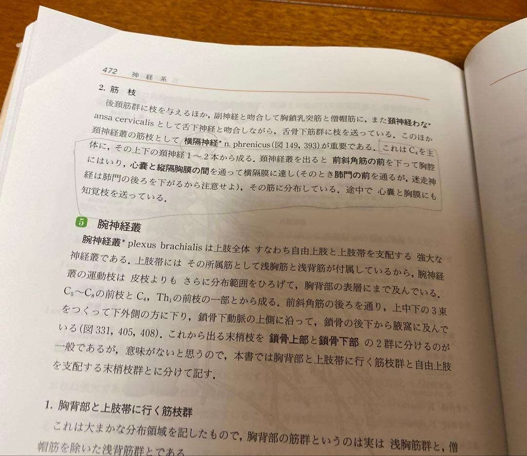 人体解剖学