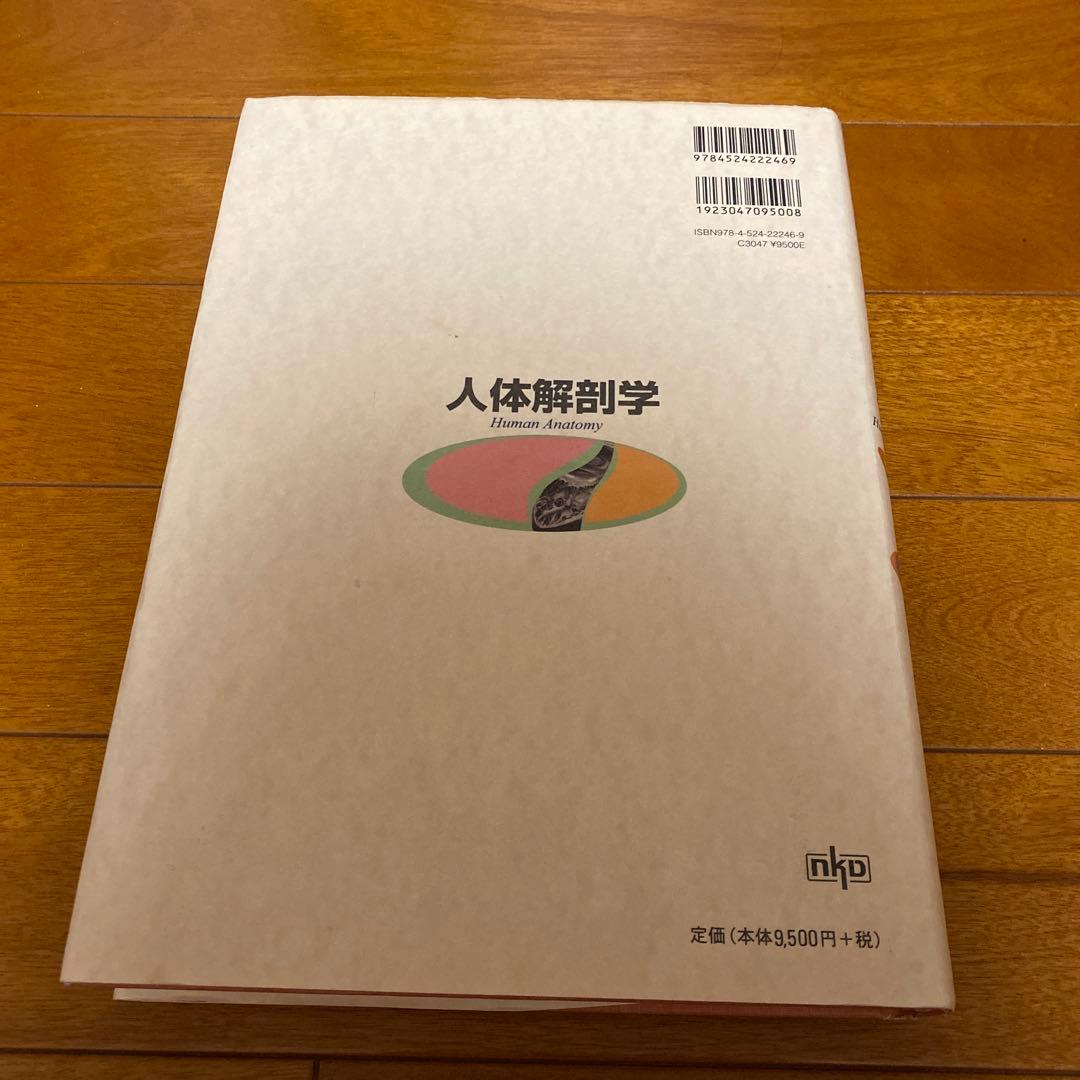 人体解剖学