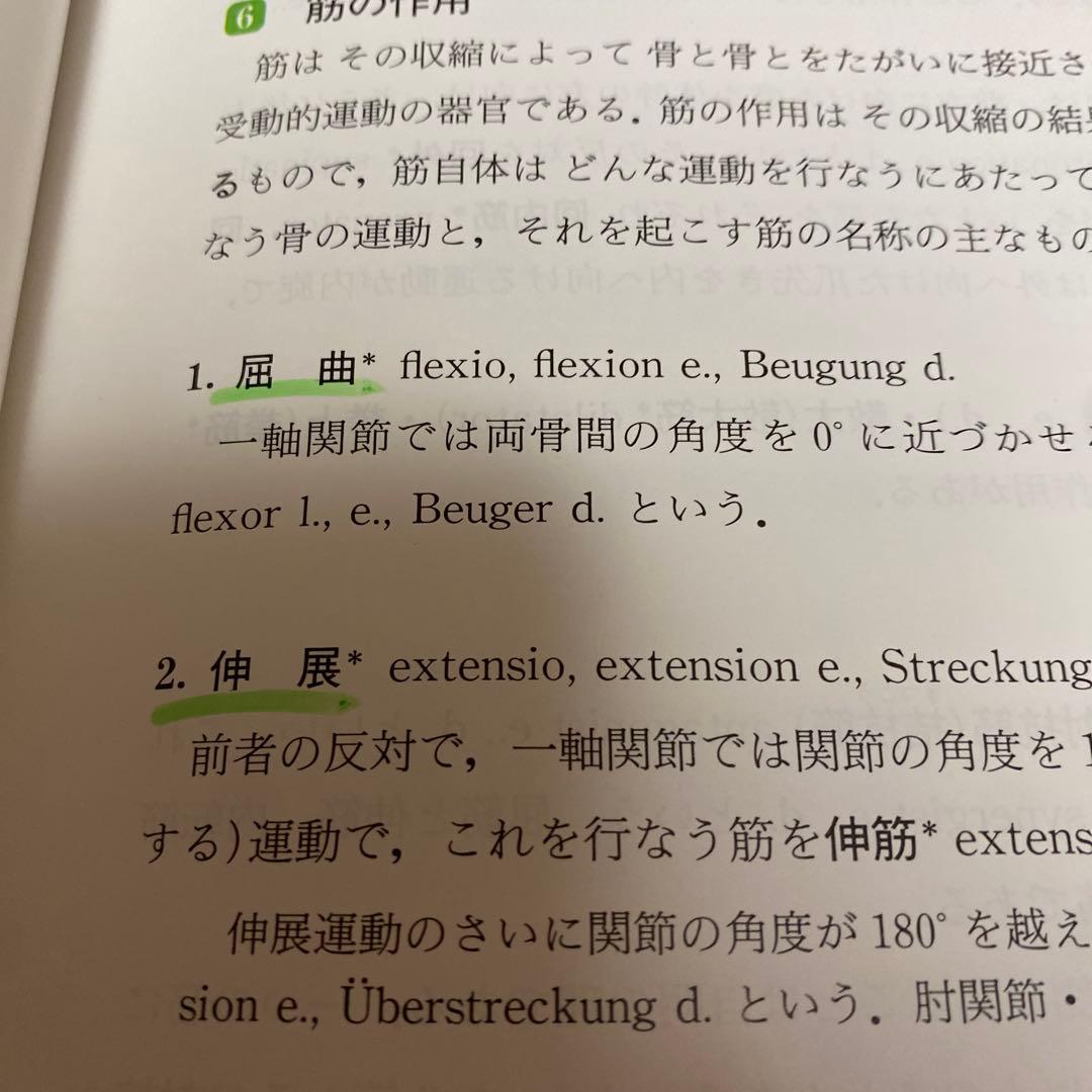 人体解剖学