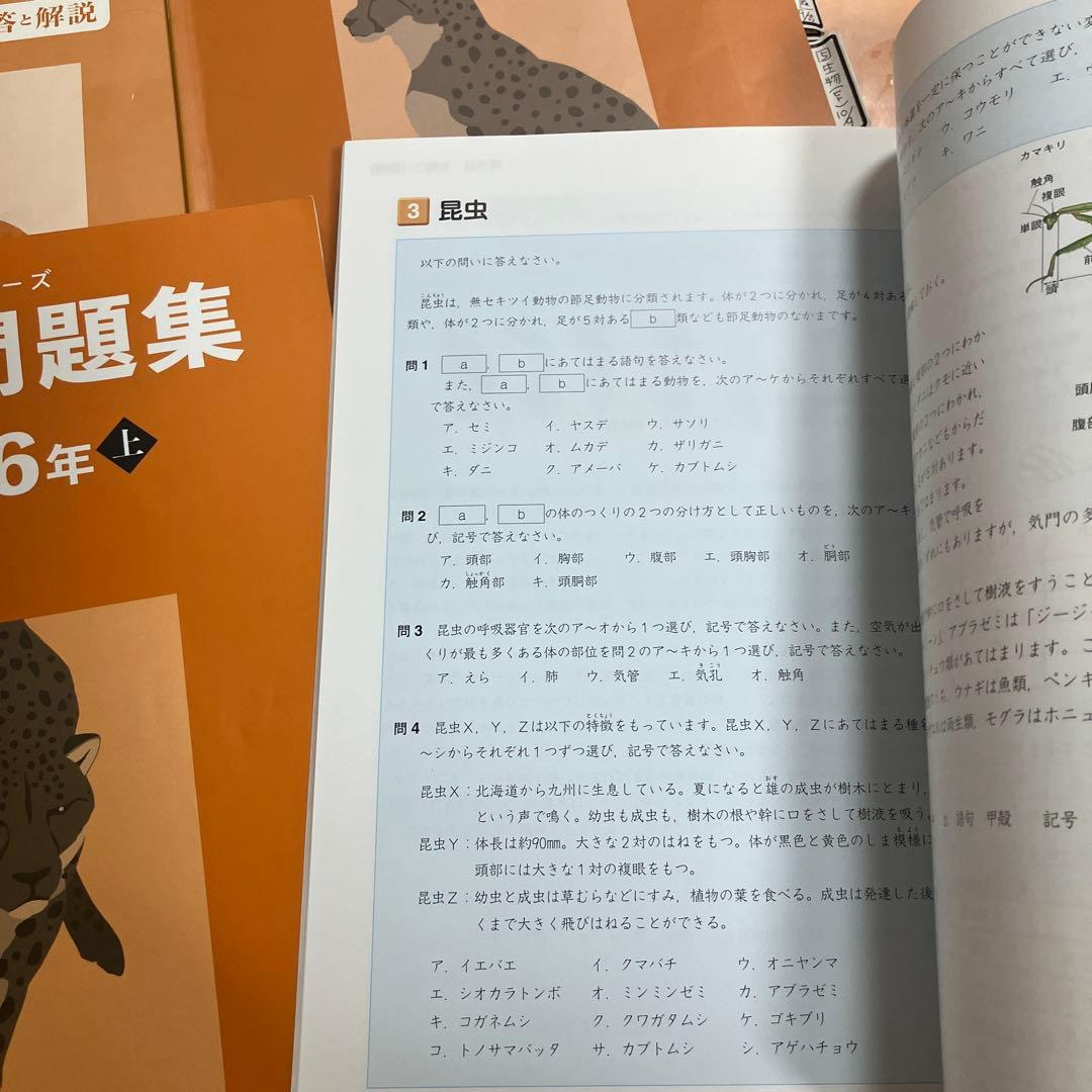 予習シリーズ 理科 6年 フルセット